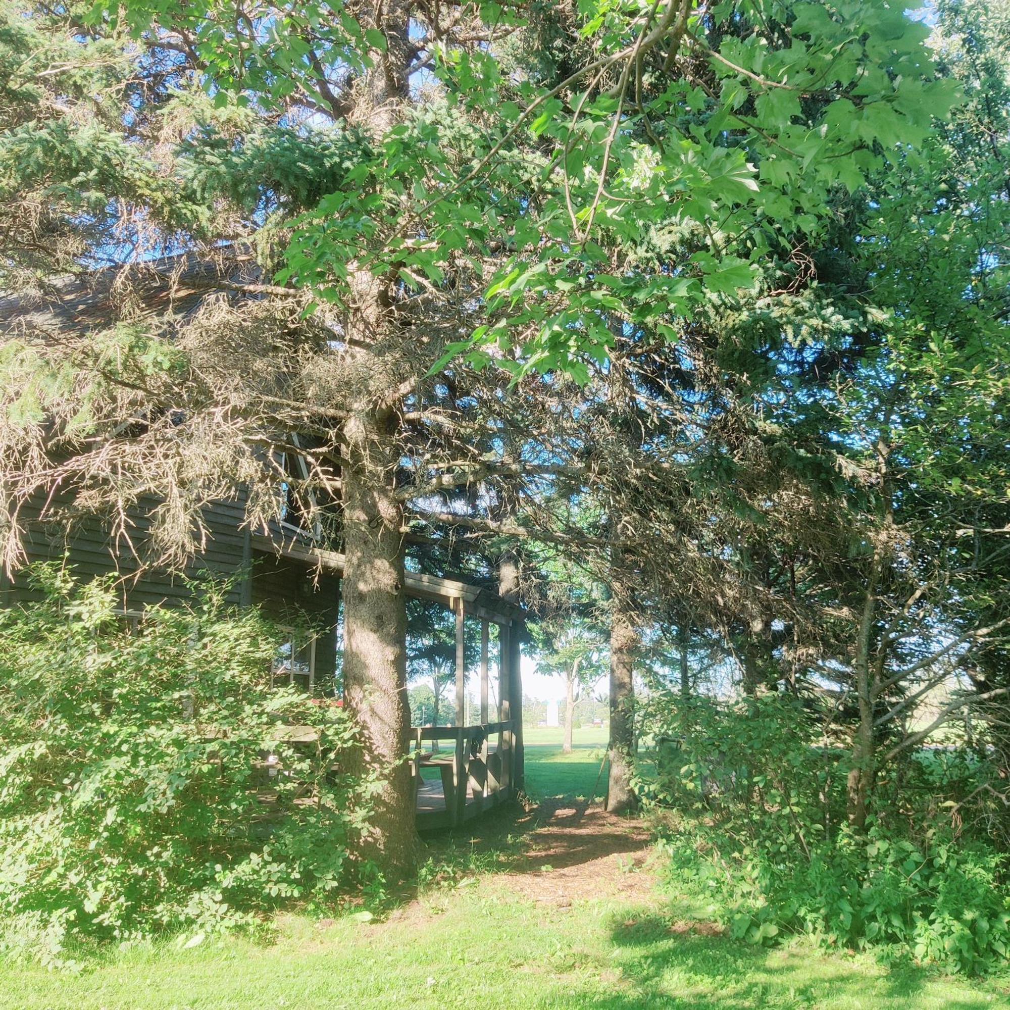 Avonlea Forest Hill Cottages New Glasgow Bagian luar foto